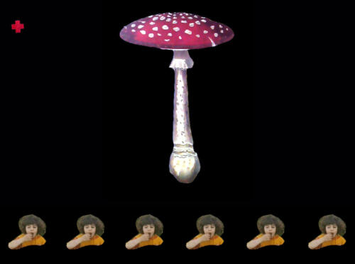 MUSHROOM